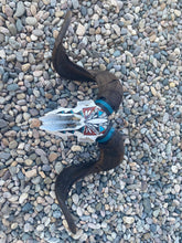 Load image into Gallery viewer, Southwestern Painted Ram Skull
